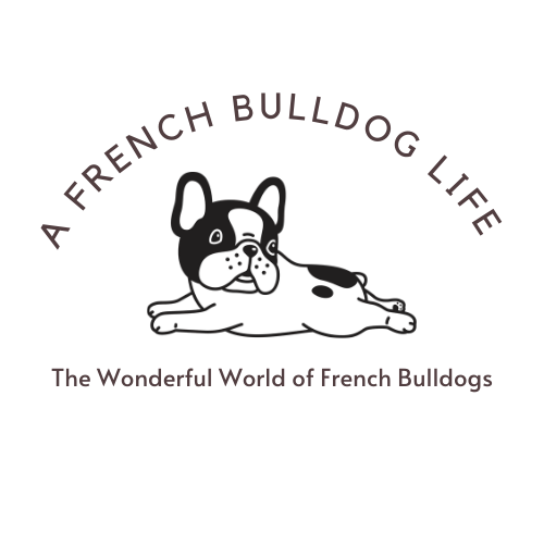 All you need to know about French Bulldogs