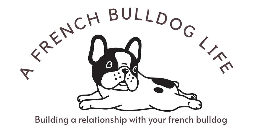 All about life with French Bulldogs