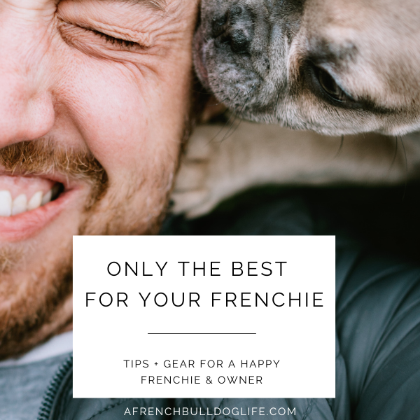 French bulldog gear and tips