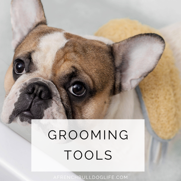 best grooming tools for french bulldogs