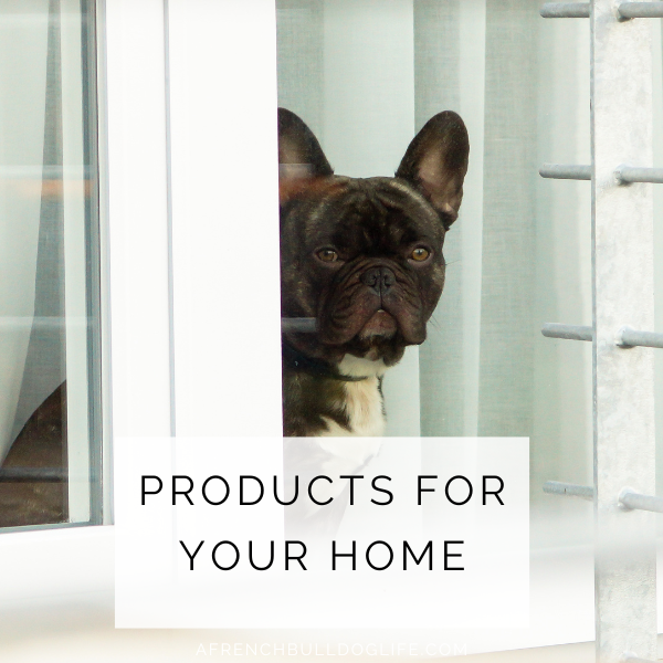 best products for your french bulldog home owner