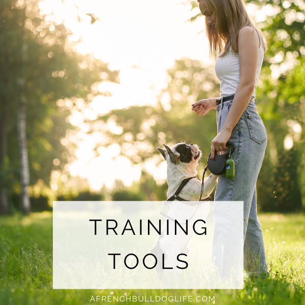 best training tools for french bulldogs