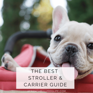 Best frenchie stroller guide