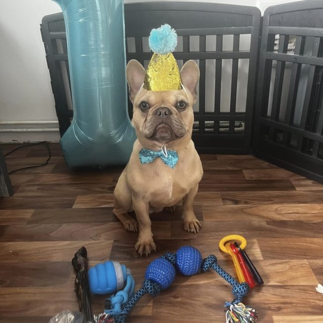 max looking handsome for his 1st birthday celebration